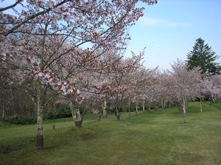 asahiyama_2016_0509_005.jpg