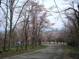 asahiyama_2016_0510_001.jpg