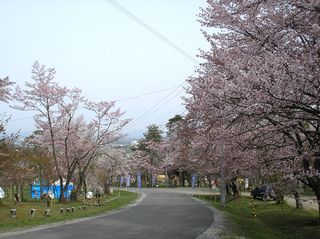 asahiyama_2016_0510_002.jpg