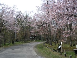 asahiyama_2016_0510_003.jpg