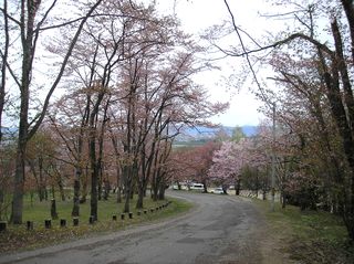 asahiyama_2016_0511_001.JPG