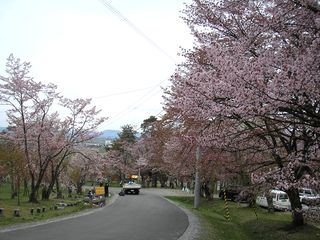 asahiyama_2016_0511_004.jpg