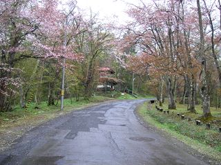 asahiyama_2016_0512_002.jpg