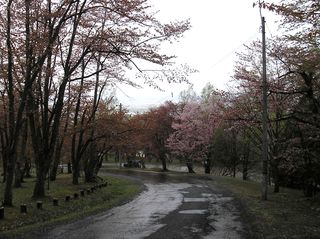 asahiyama_2016_0512_005.jpg