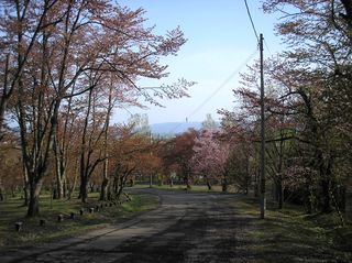 asahiyama_2016_0513_001.jpg