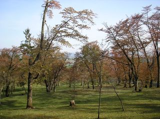 asahiyama_2016_0513_002.jpg