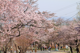 asahiyama_2016_05_09_full.JPG