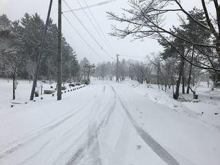 asahiyama_2017_04_13_002.jpg