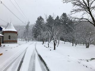 asahiyama_2017_04_13_003.jpg