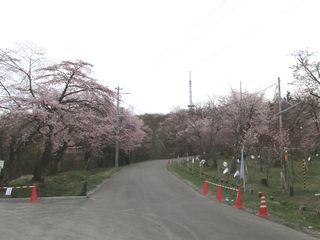 asahiyama_2017_05_06_001.jpg