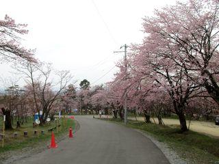 asahiyama_2017_05_06_003.jpg