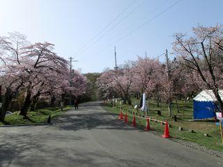 asahiyama_2017_05_07_002.jpg