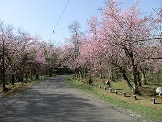 asahiyama_2017_05_07_003.jpg