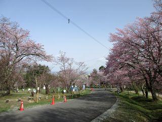 asahiyama_2017_05_07_004.jpg