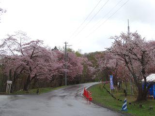 asahiyama_2017_05_08_003.jpg