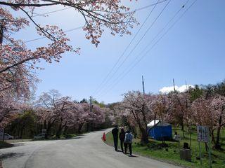 asahiyama_2017_05_09_002.jpg