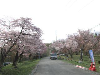 asahiyama_2017_05_10_001.jpg