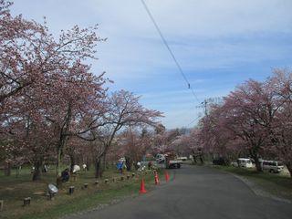 asahiyama_2017_05_10_003.jpg