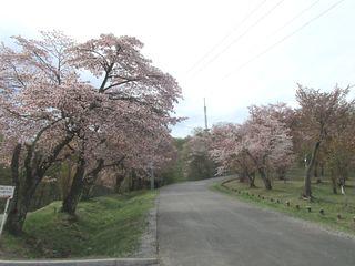 asahiyama_2017_05_11_001.jpg