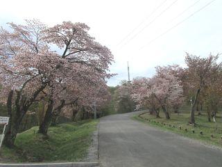 asahiyama_2017_05_11_001.jpg