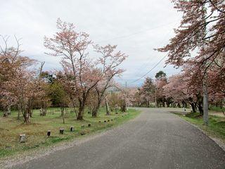 asahiyama_2017_05_11_003.jpg