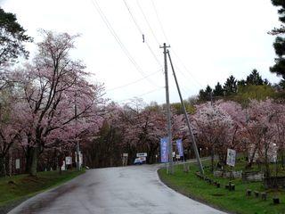 asahiyama_2018_05_05_004.jpg