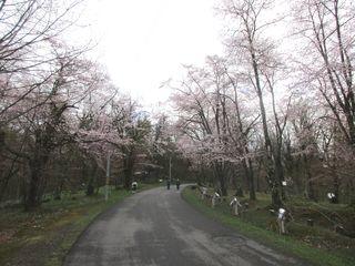 asahiyama_2018_05_07_001.jpg