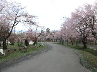 asahiyama_2018_05_07_002.jpg