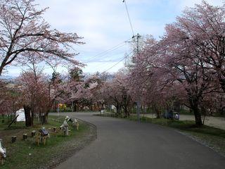 asahiyama_2018_05_08_003.jpg