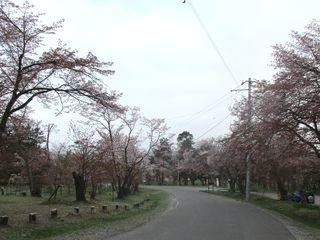 asahiyama_2018_05_10_002.jpg