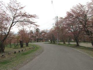 asahiyama_2018_05_11_002.jpg