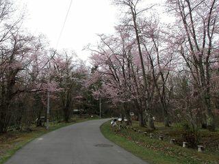 asahiyama_2019_05_06_001.jpg