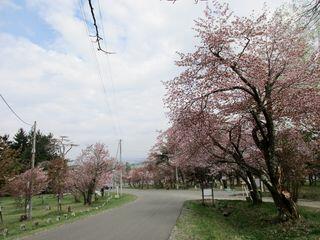 asahiyama_2019_05_10_002.jpg
