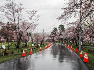 asahiyama_2022_05_04_002.jpg