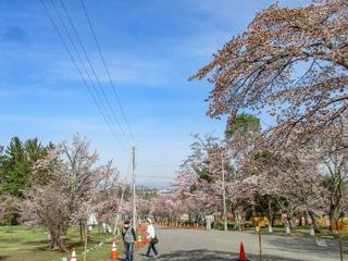 asahiyama_2022_05_06_002.jpg