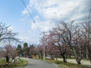 asahiyama_2023_04_28_001.jpg