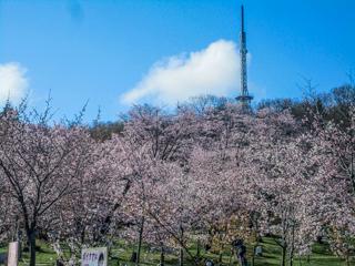 asahiyama_2023_05_02_004.jpg