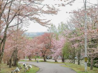 asahiyama_2023_05_05_003.jpg