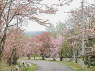 asahiyama_2023_05_05_003.jpg