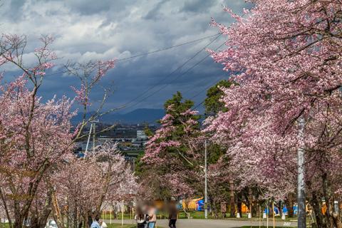 asahiyama_2023_05_08_002.jpg