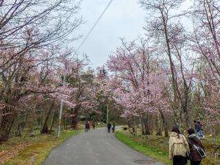 asahiyama_2024_04_28_001.jpg
