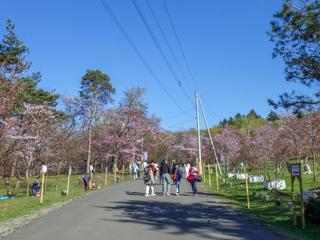 asahiyama_2024_05_01_001.jpg