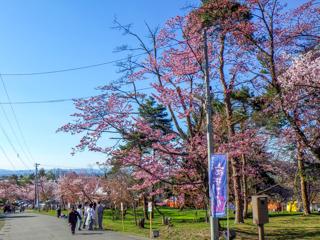 asahiyama_2024_05_01_002.jpg