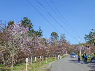 asahiyama_2024_05_02_006.jpg