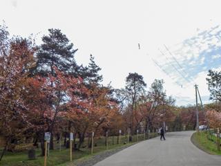 asahiyama_2024_05_04_004.jpg