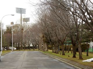 hanasaki_2016_0415_004.JPG