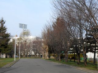 hanasaki_2016_0422_003.jpg