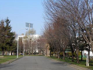 hanasaki_2016_0425_001.jpg