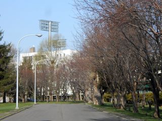 hanasaki_2016_0428_002.jpg