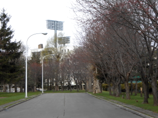 hanasaki_2016_0430_004.JPG